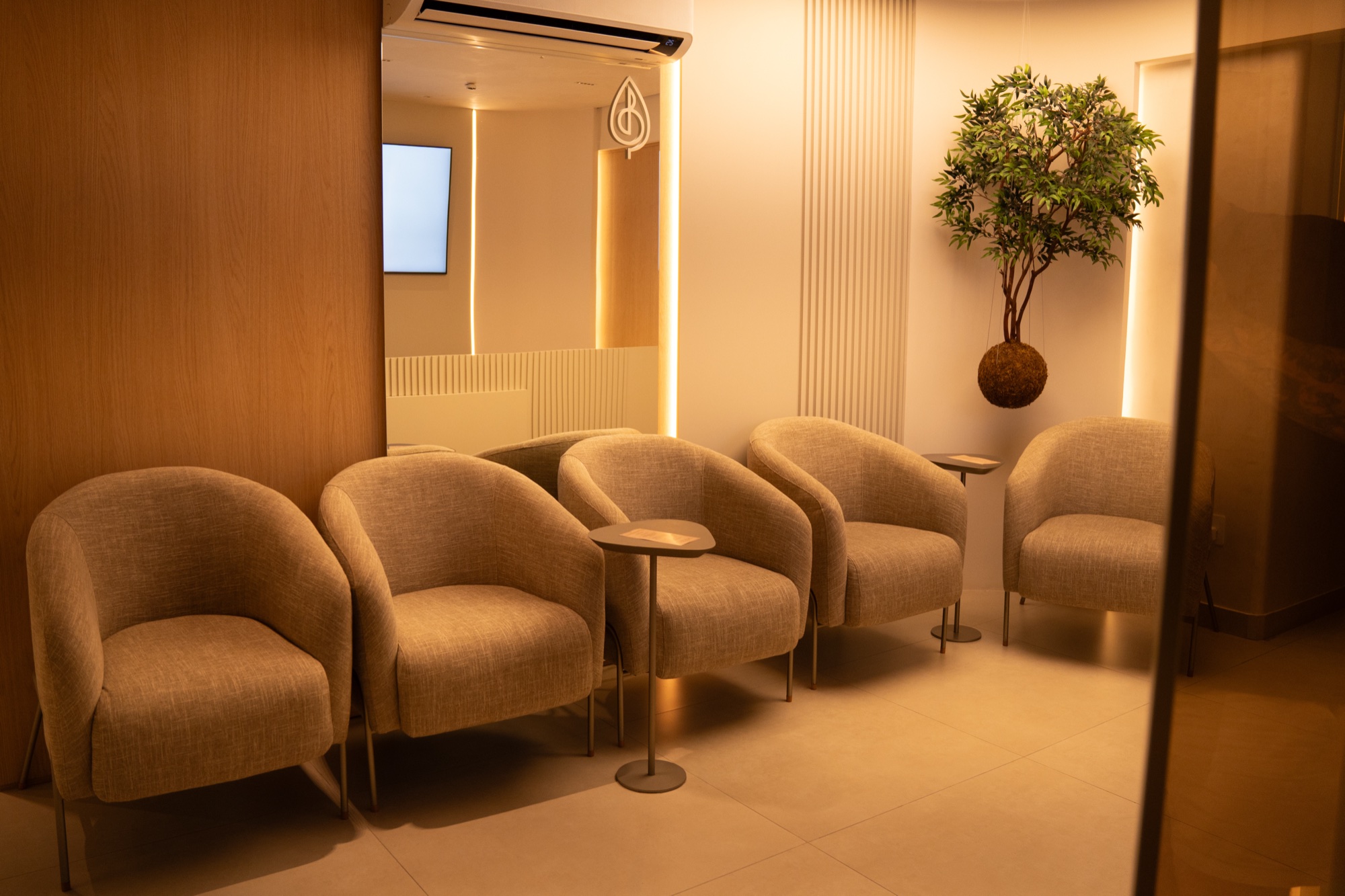 Poltronas da sala de espera com decoração natural